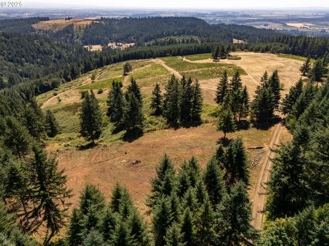a view of a lake with a mountain view