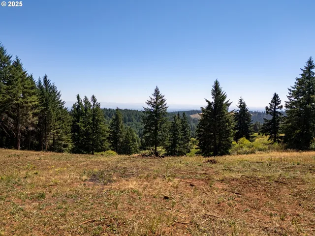a view of a snow covered with snow in the background