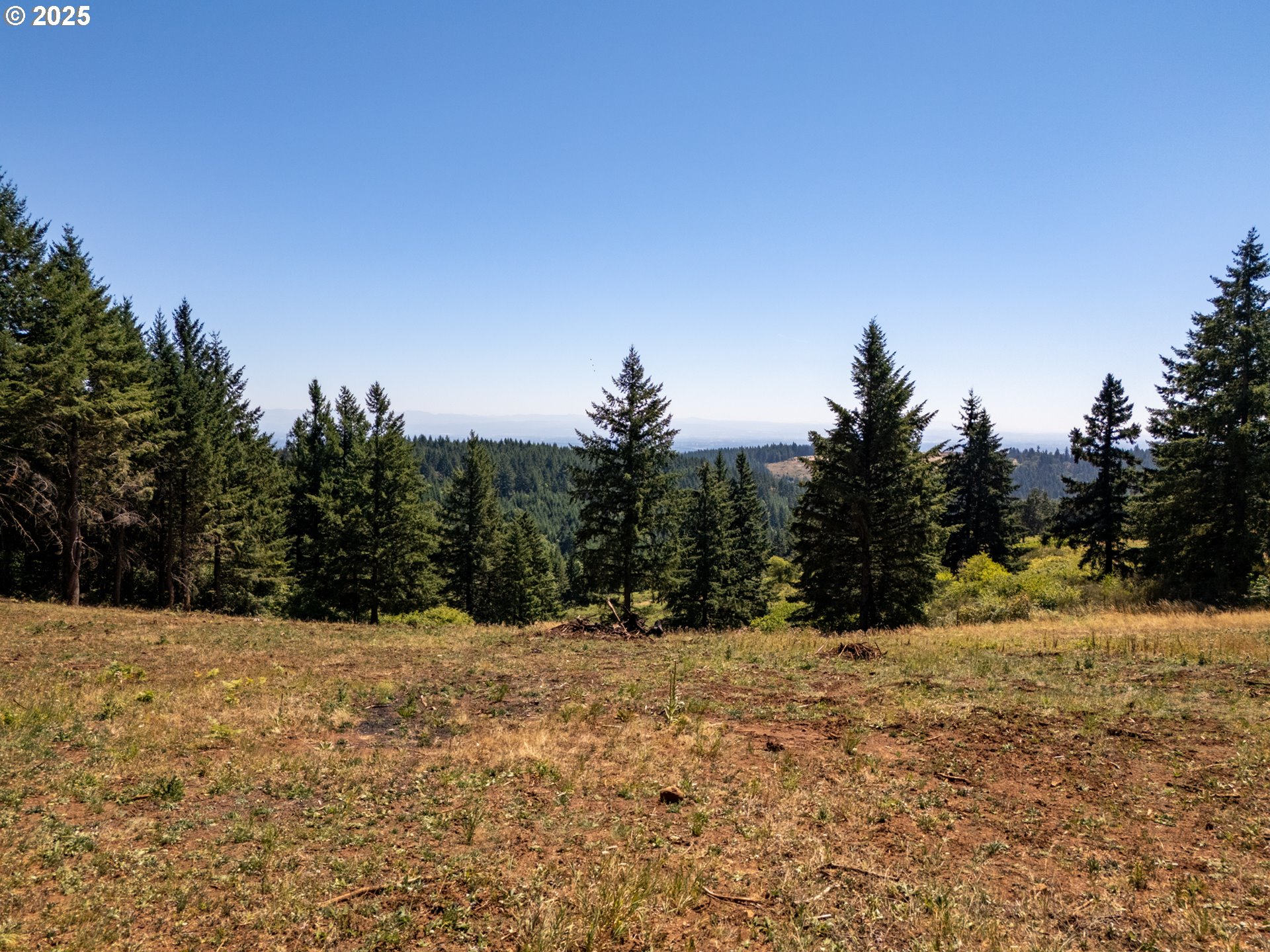 0 Northeast Old Parrett Mountain Road, Unit 2 Newberg, OR 97132 - Photo 4 of 43