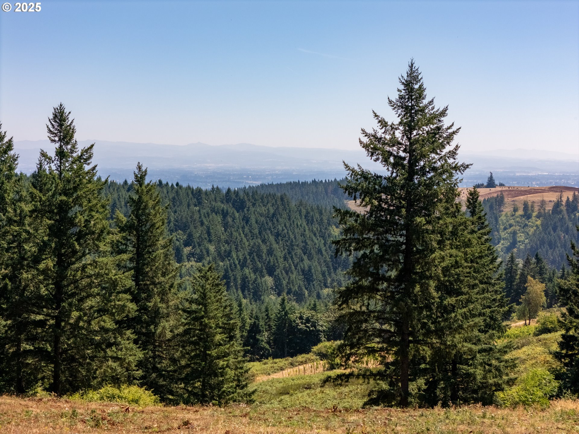 0 Northeast Old Parrett Mountain Road, Unit 2 Newberg, OR 97132 - Photo 5 of 43