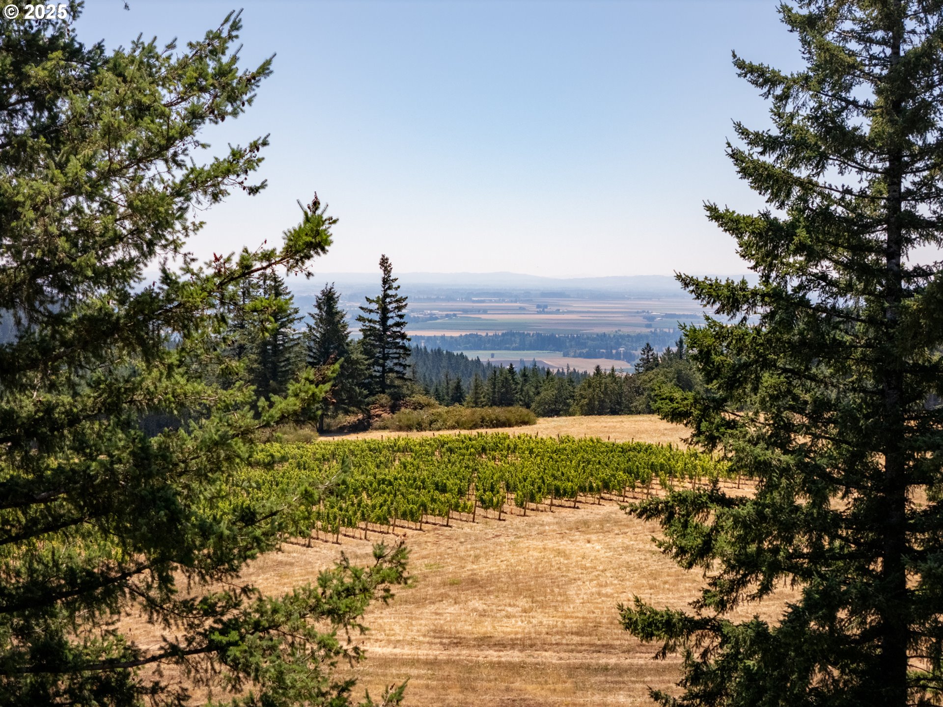 0 Northeast Old Parrett Mountain Road, Unit 2 Newberg, OR 97132 - Photo 8 of 43