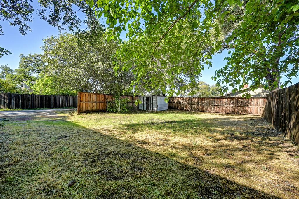 12365 Reba Road Auburn, CA 95603 - Photo 61 of 62 a view of a yard with a large tree