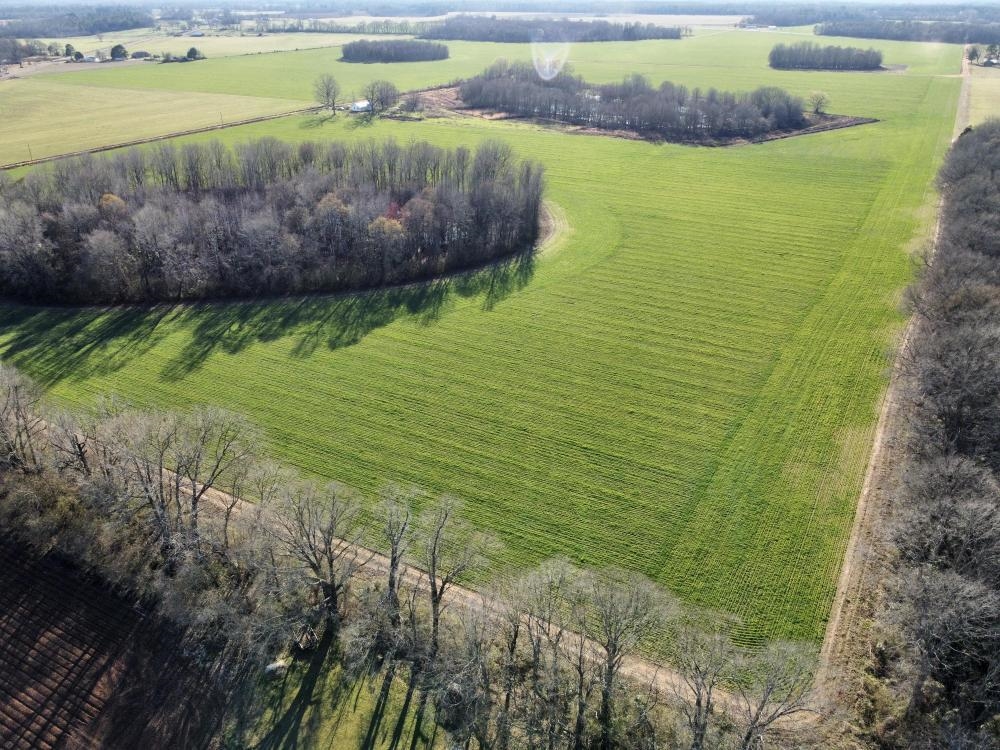 0 Byrd Road Atmore, AL 36502 - Photo 20 of 27