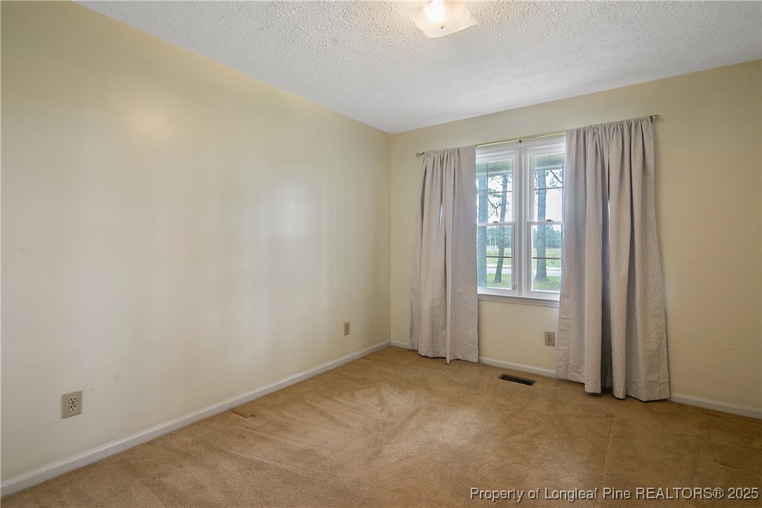243 Shaw Mill Road St. Pauls, NC 28384 - Photo 31 of 44 Gallery Image 31