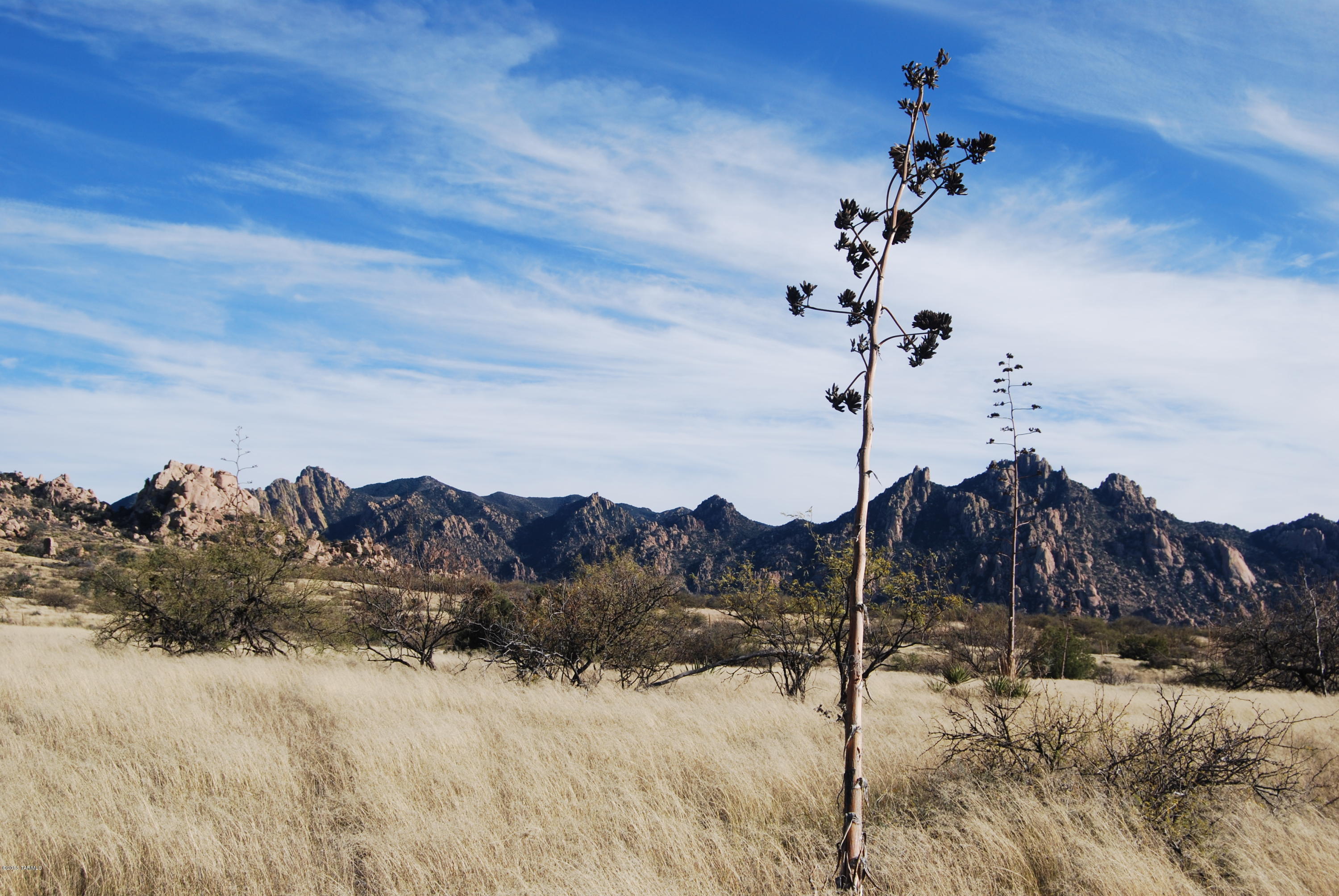 East Diamondback Road St. David, AZ 85630 - Photo 20 of 32