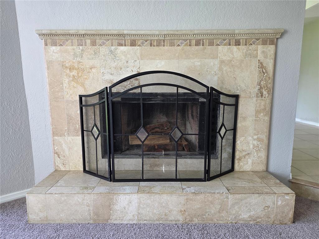 162 Olive Tree Circle Altamonte Springs, FL 32714 - Photo 21 of 47 a closeup of a fireplace with a glass door