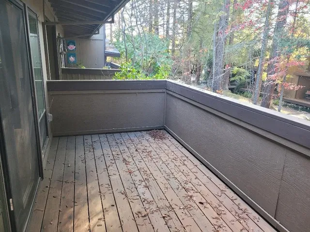 a small pool with a tree