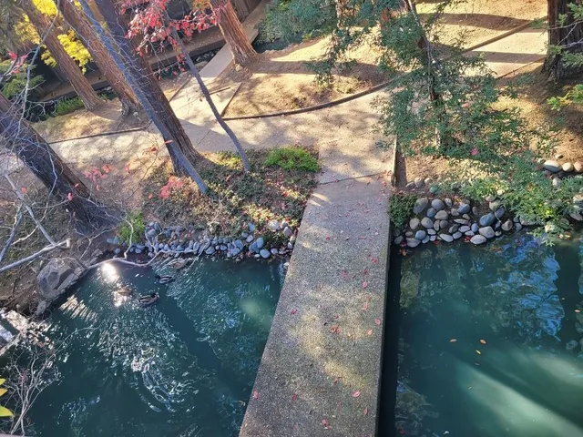 a view of swimming pool with a patio