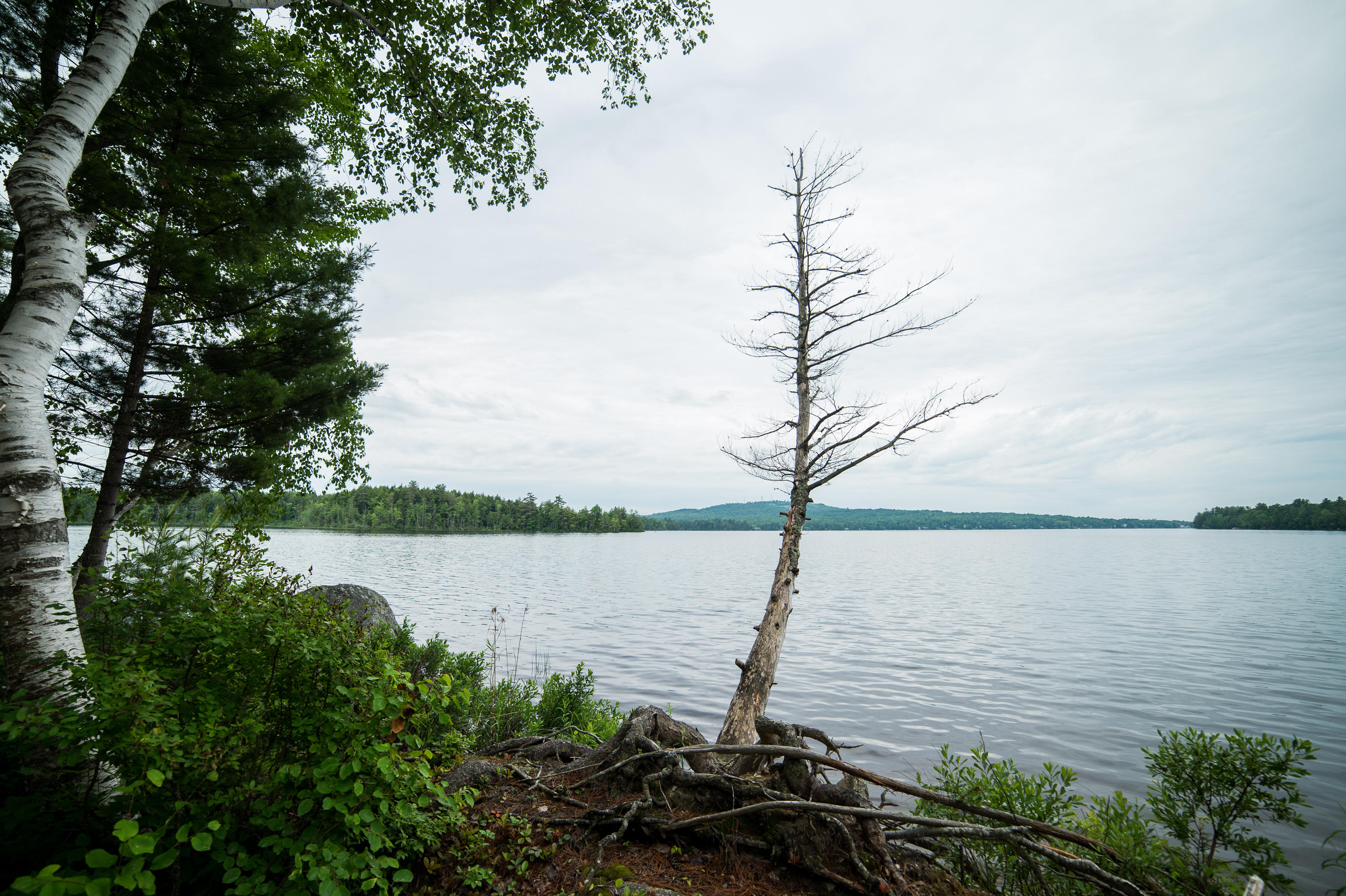 361 White Point Estates Road Lincoln, ME 04457 - Photo 25 of 86 dbp-0019