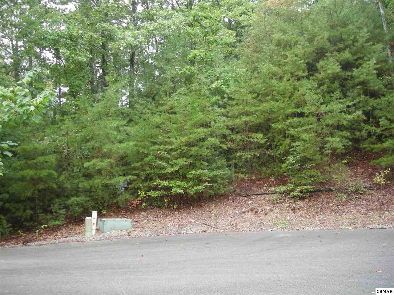 30 Harvest Moon Road Sevierville, TN 37862 - Photo 3 of 6 Gallery Image 3