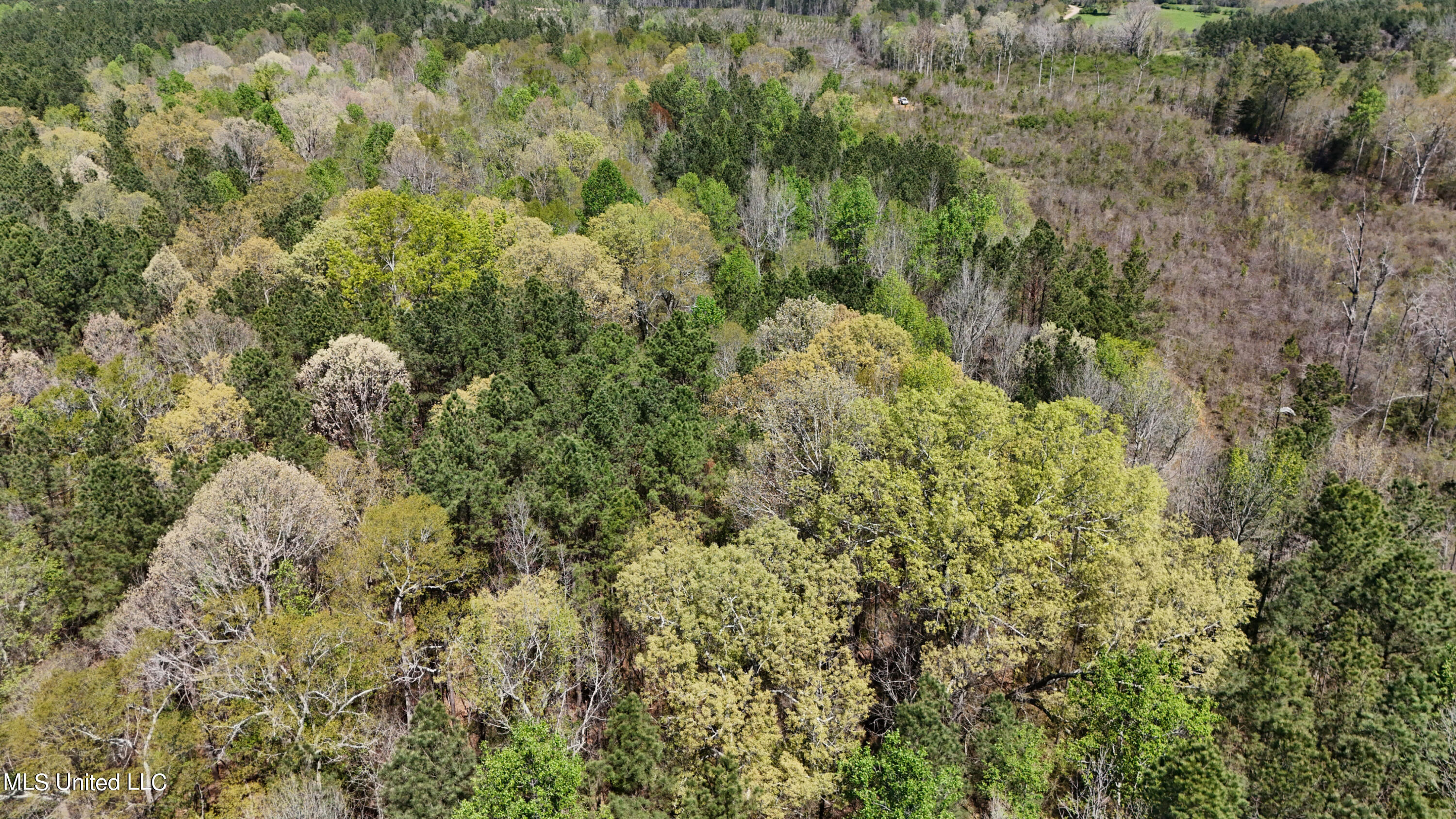 0 Hugh Hudnall Road Decatur, MS 39327 - Photo 12 of 21 DJI_20240330121958_0151_D