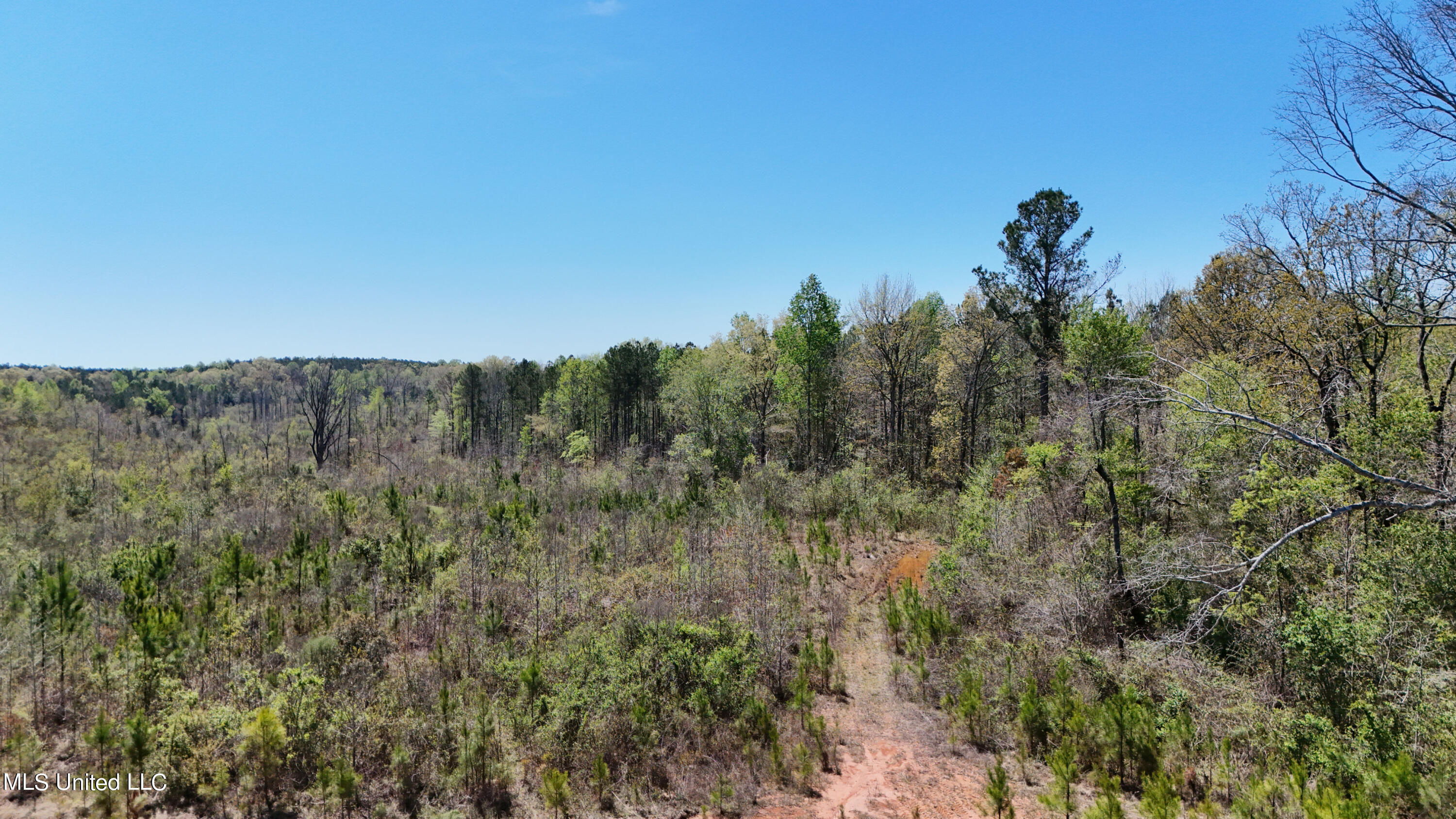0 Hugh Hudnall Road Decatur, MS 39327 - Photo 17 of 21 DJI_20240330122149_0156_D
