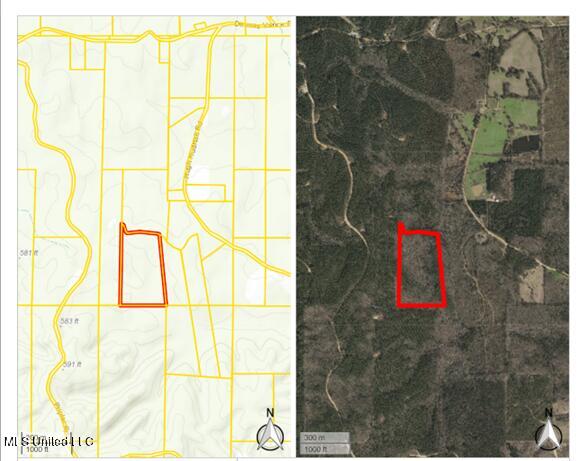 0 Hugh Hudnall Road Decatur, MS 39327 - Photo 21 of 21 Platt Pic