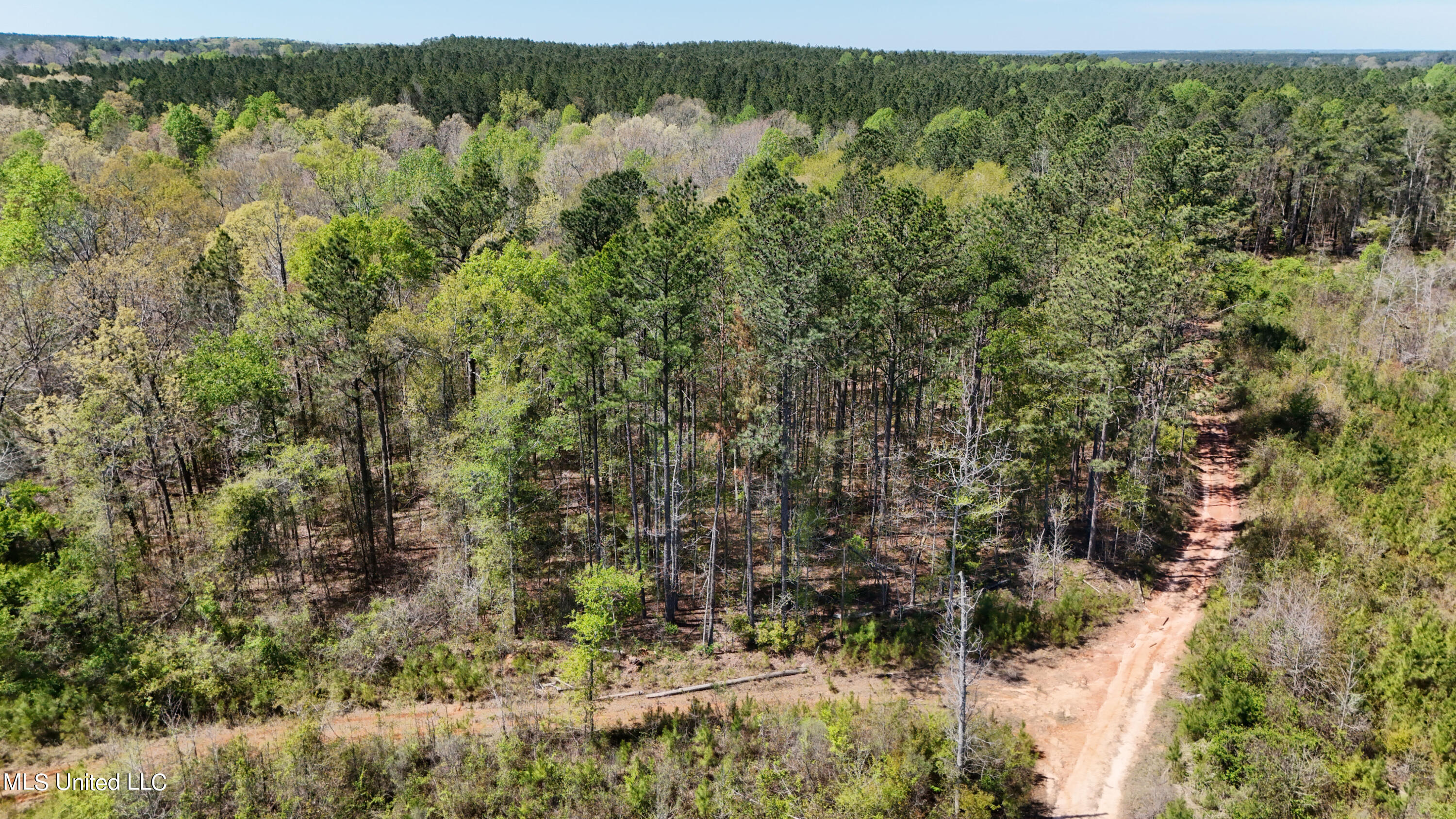 0 Hugh Hudnall Road Decatur, MS 39327 - Photo 5 of 21 DJI_20240330121524_0145_D