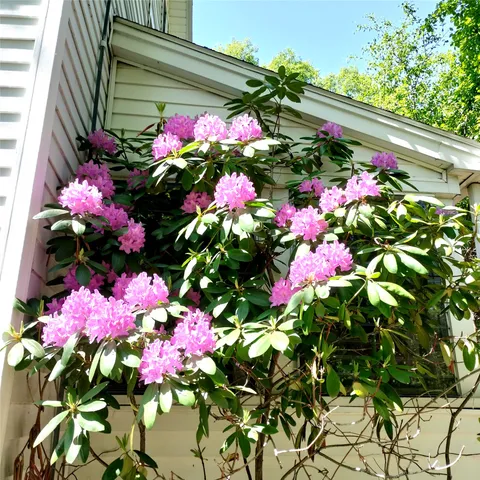 $1,500 | 31 Indiana Street, Binghamton, NY 13903