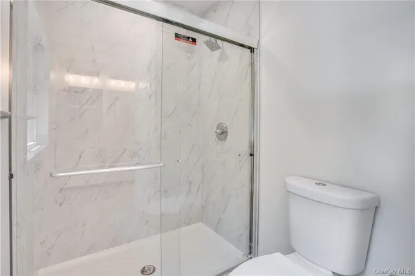 a bathroom with a shower and a toilet