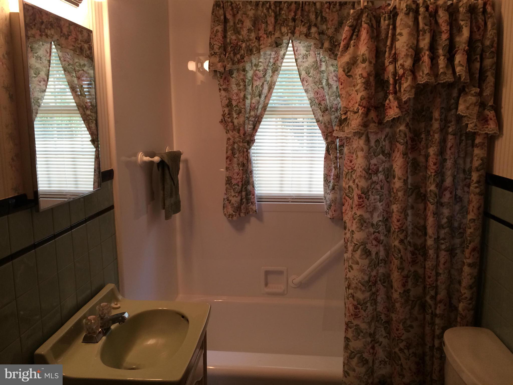 802 Long Corner Road Mount Airy, MD 21771 - Photo 18 of 30 First Floor Bath