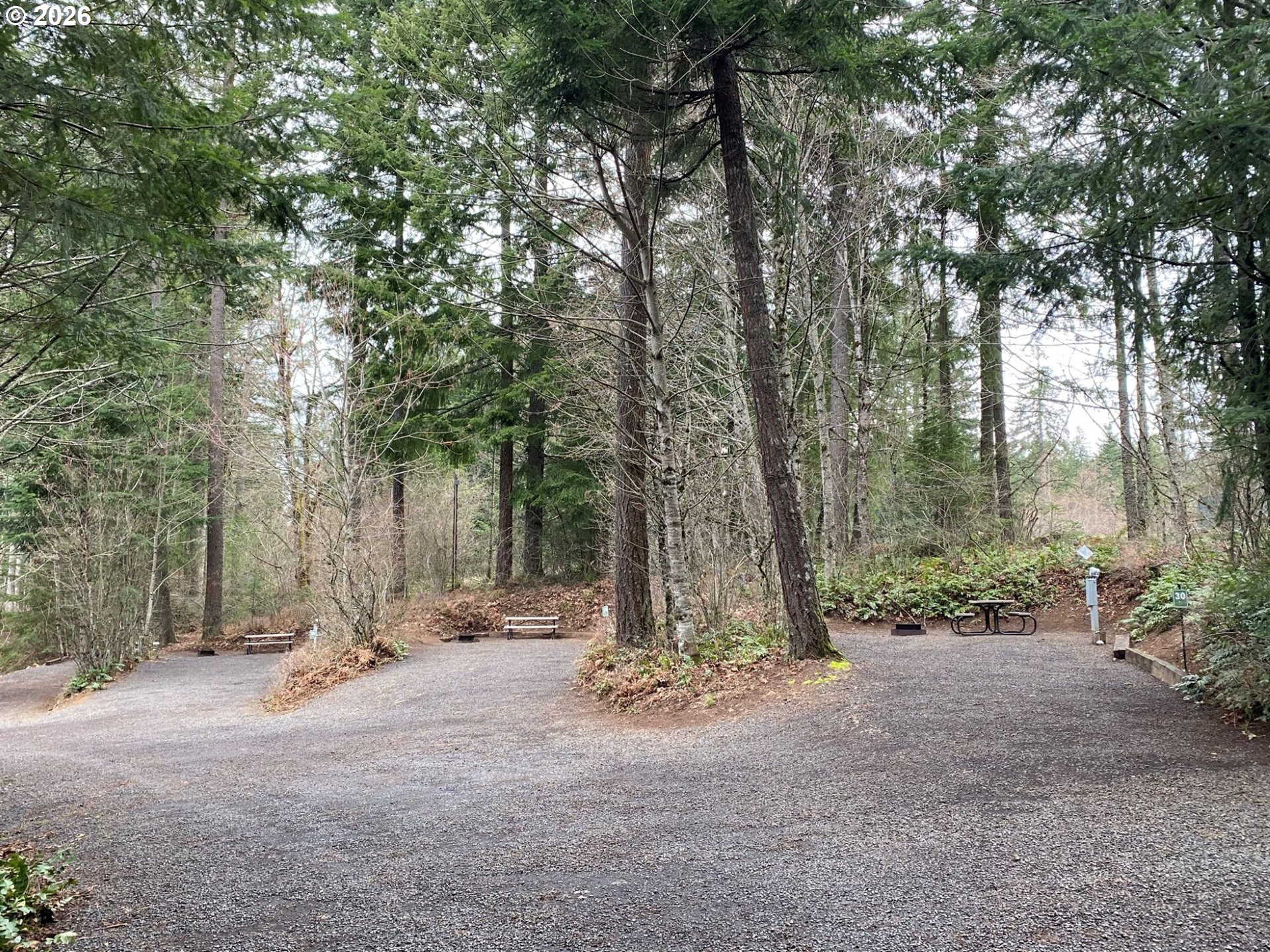 112 Bylin Road Stevenson, WA 98648 - Photo 20 of 42 a view of outdoor space with trees