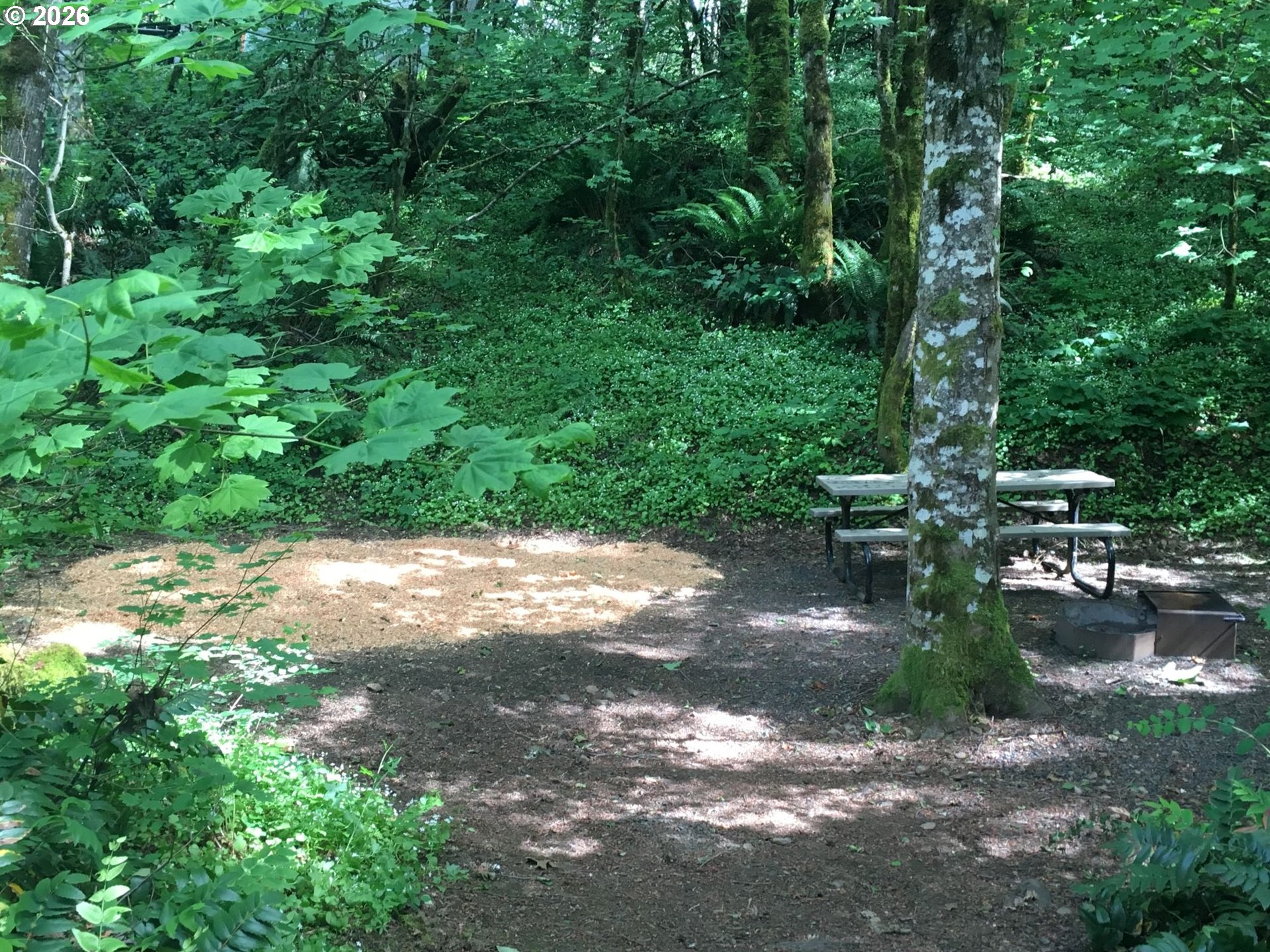 112 Bylin Road Stevenson, WA 98648 - Photo 26 of 42 a view of yard
