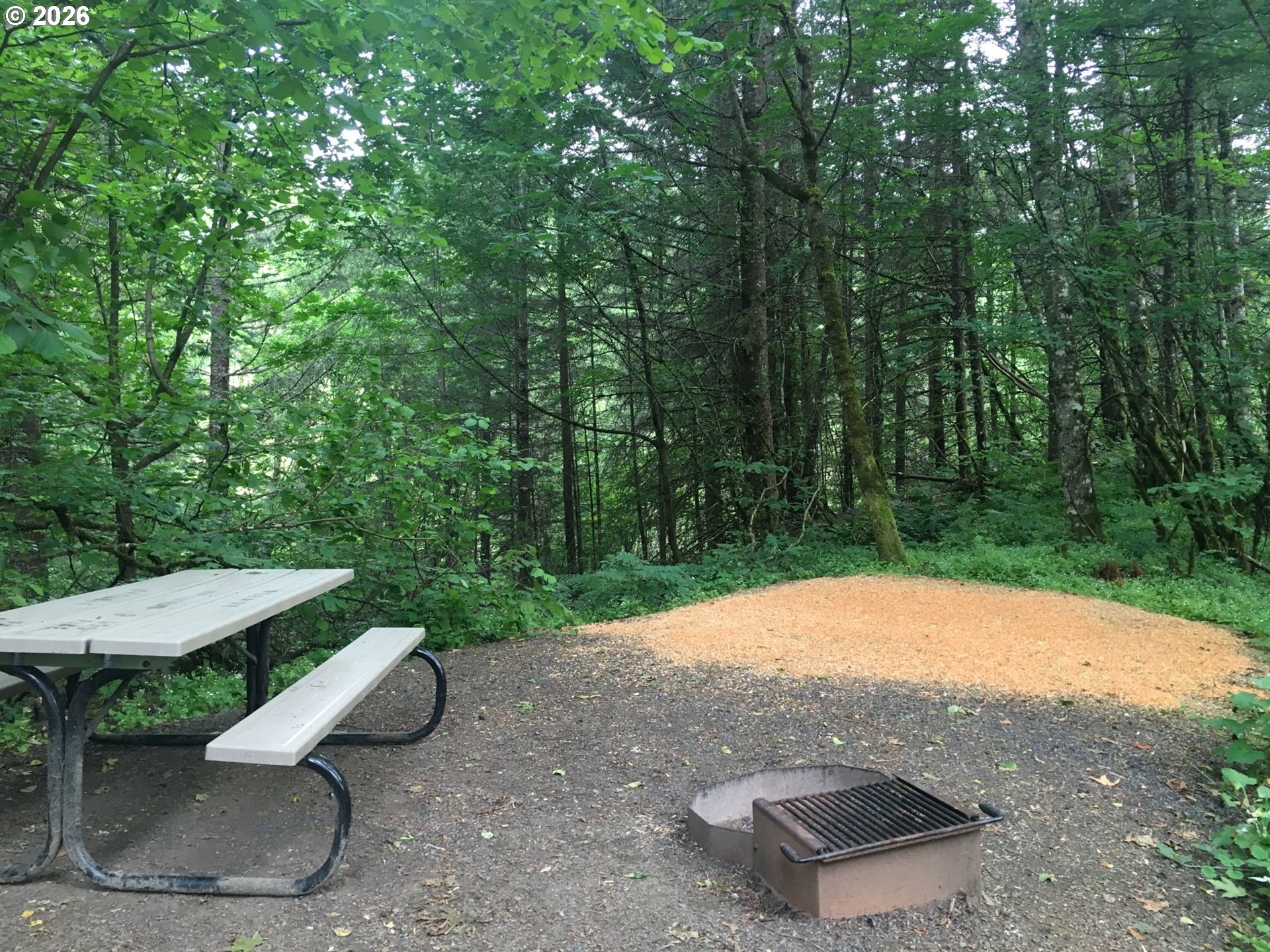 112 Bylin Road Stevenson, WA 98648 - Photo 27 of 42 a view of a backyard with table and chairs