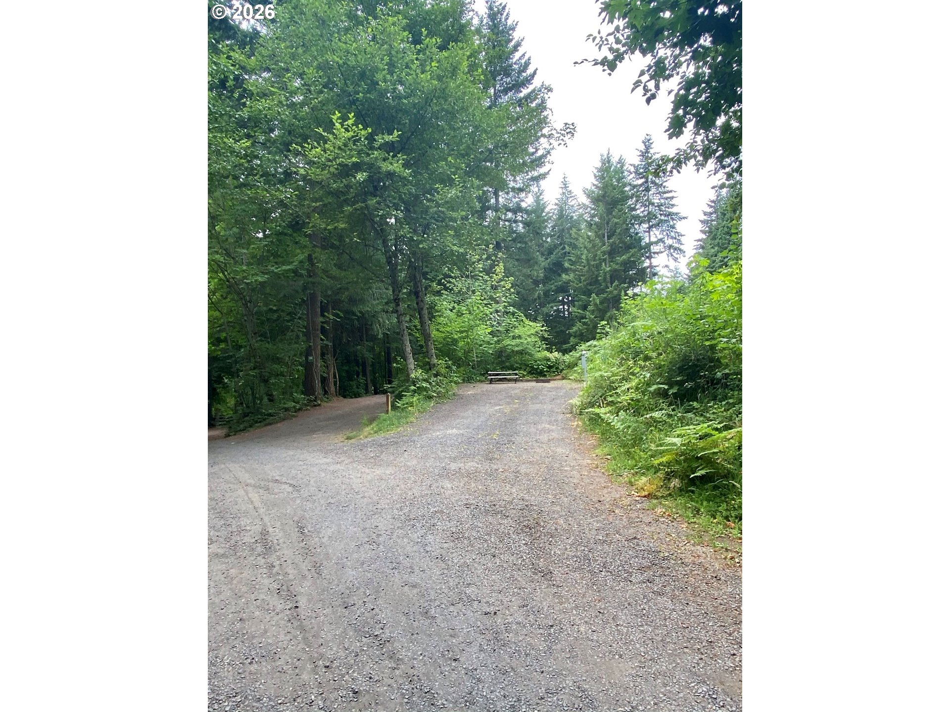 112 Bylin Road Stevenson, WA 98648 - Photo 31 of 42 a view of a yard with plants and trees