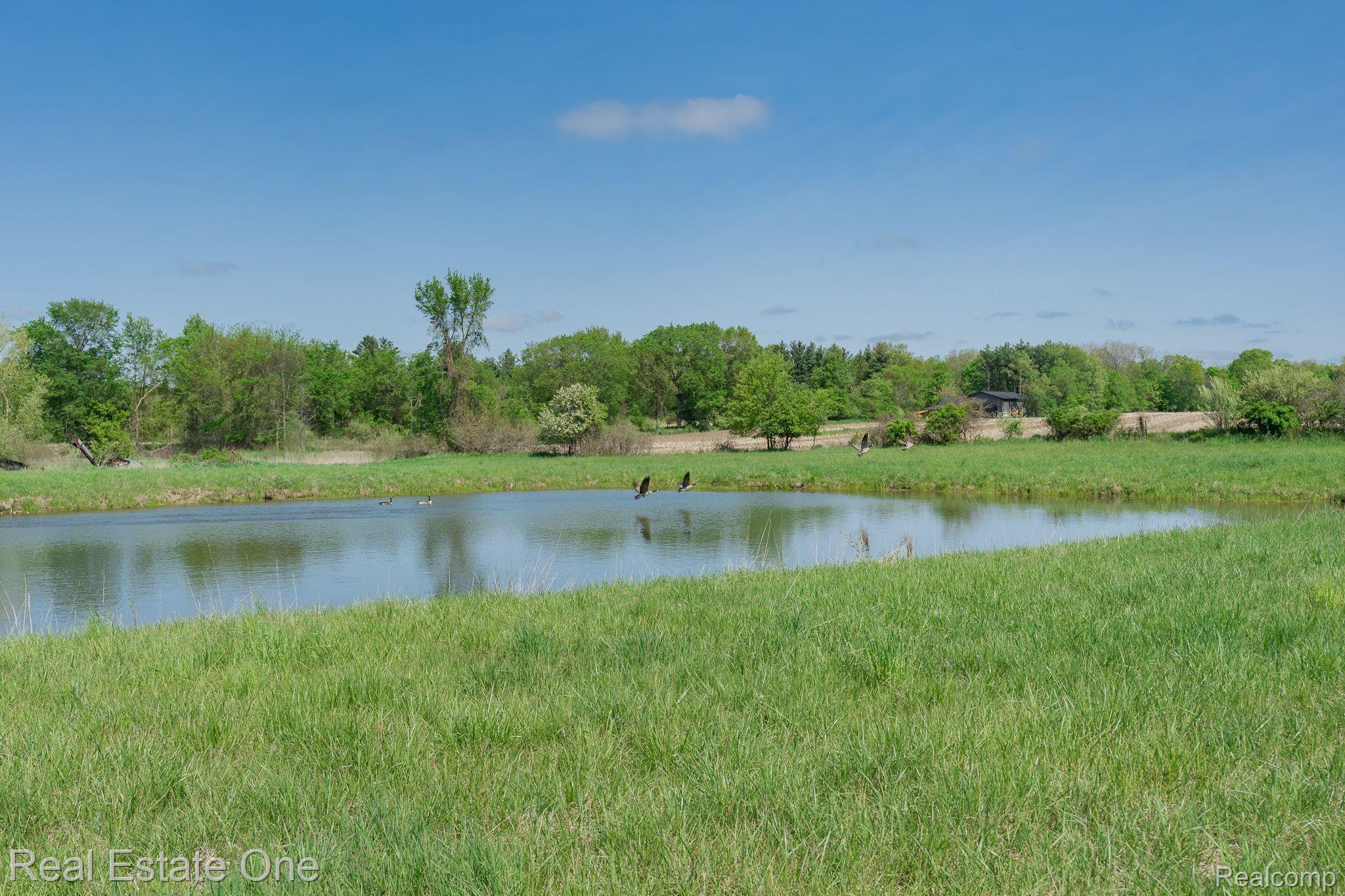 4190 Pratt Road Metamora, MI 48455 - Photo 51 of 53 Wildlife Frequent the Pond