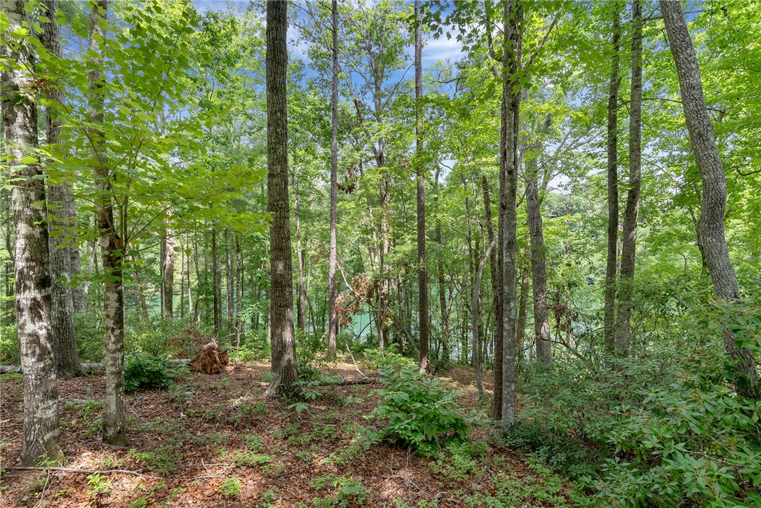 913 Rippling Water Way Salem, SC 29676 - Photo 10 of 15