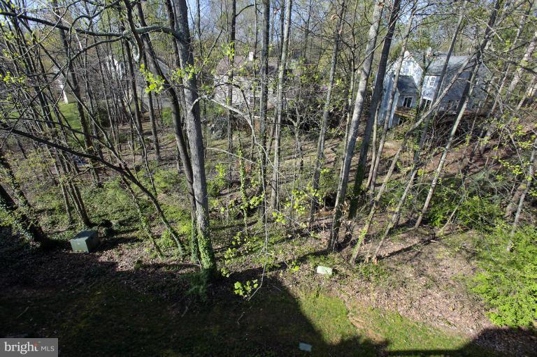 2252 Cedar Cove Court Reston, VA 20191 - Photo 16 of 26 a backyard of a house with lots of green space
