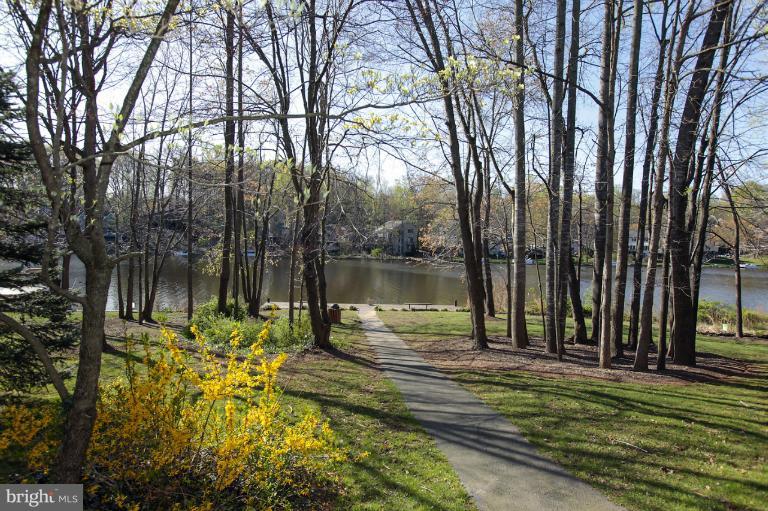 2252 Cedar Cove Court Reston, VA 20191 - Photo 18 of 26 a lake view with a large trees