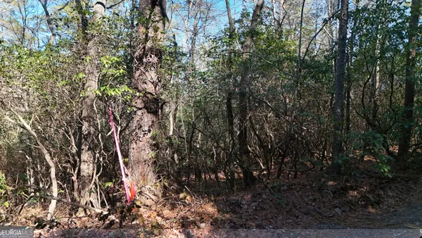$69,900 | Lot 2 Crumley Creek Road, Sautee Nacoochee, GA 30571