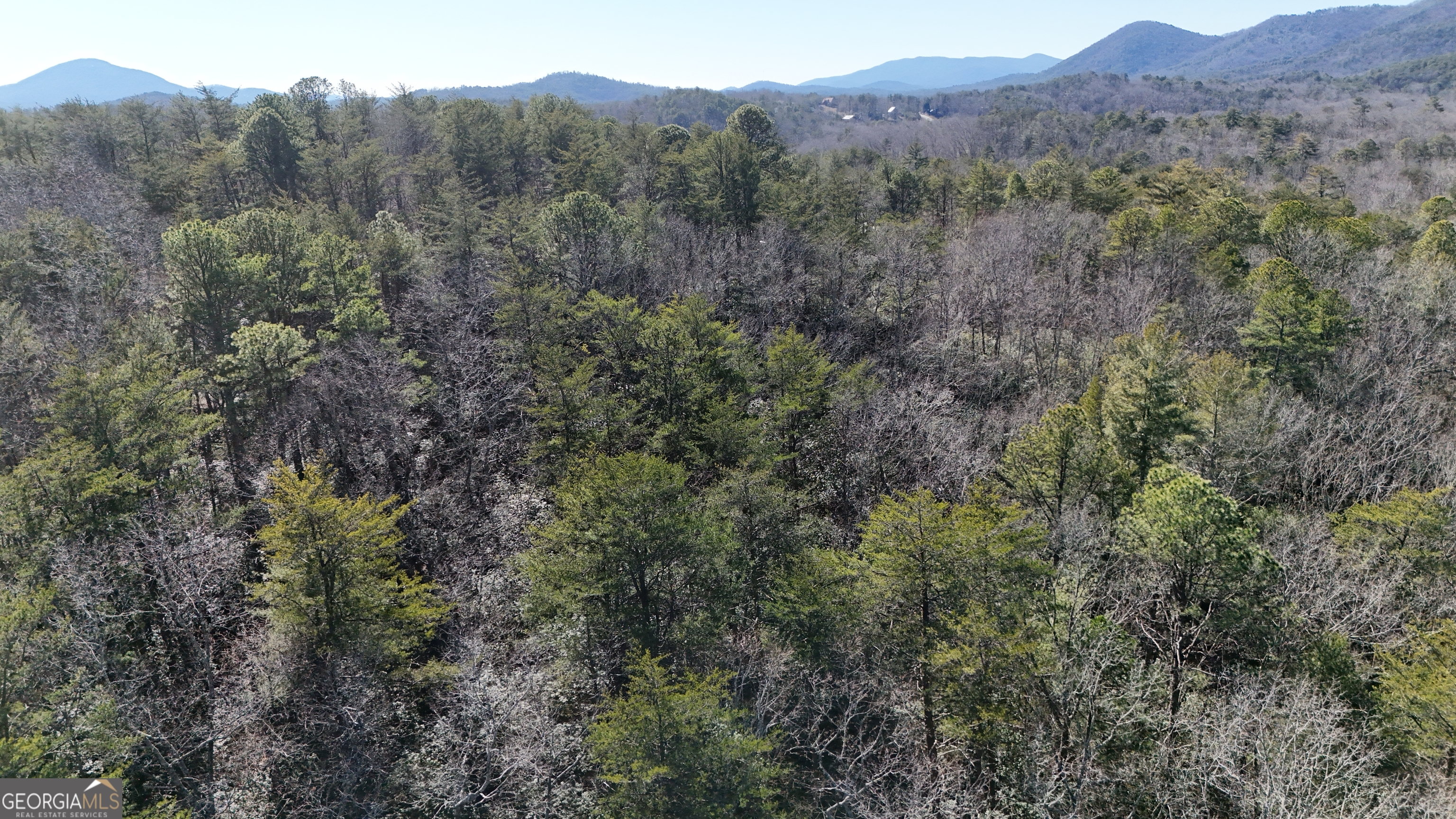 Lot 2 Crumley Creek Road Sautee Nacoochee, GA 30571 - Photo 2 of 5 a view of a lush green forest with trees in the background
