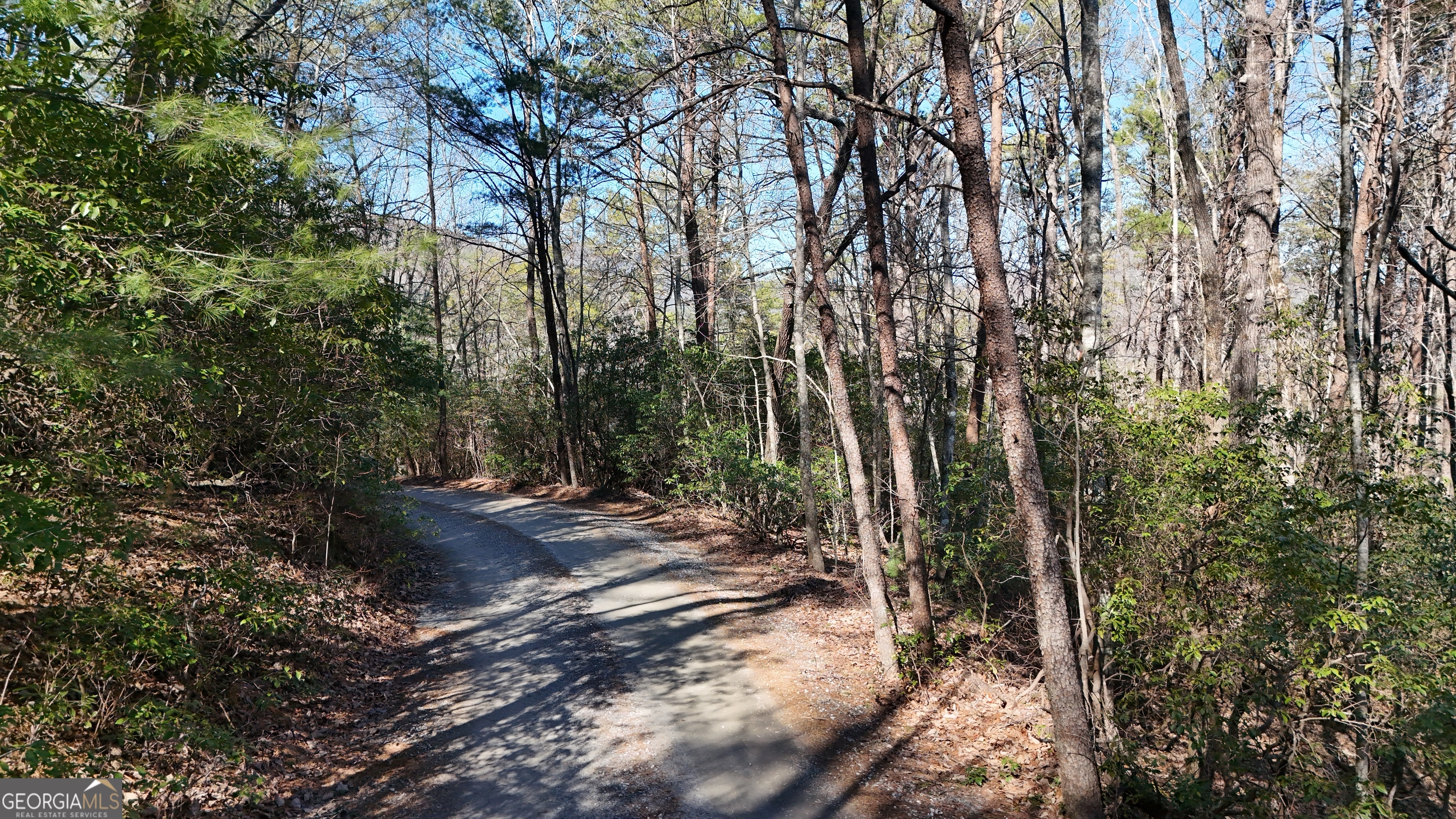 Lot 2 Crumley Creek Road Sautee Nacoochee, GA 30571 - Photo 5 of 5 a view of a forest filled with trees
