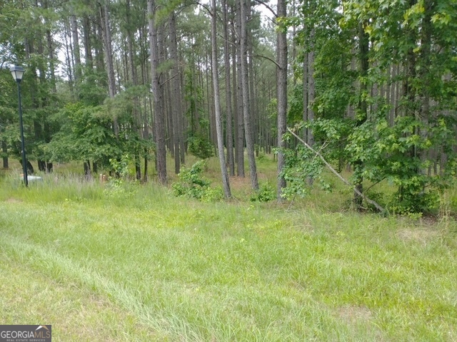1064 Shelter Cove Road Lincolnton, GA 30817 - Photo 2 of 9