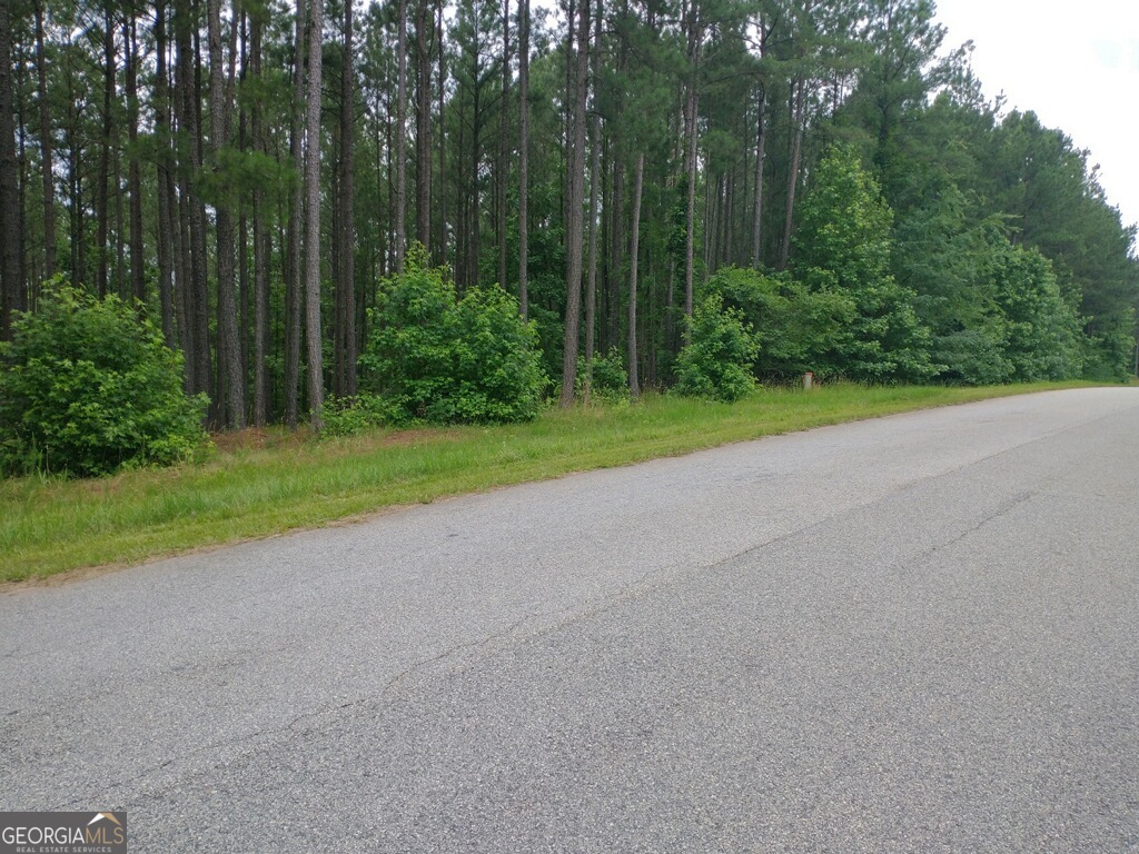 1064 Shelter Cove Road Lincolnton, GA 30817 - Photo 6 of 9