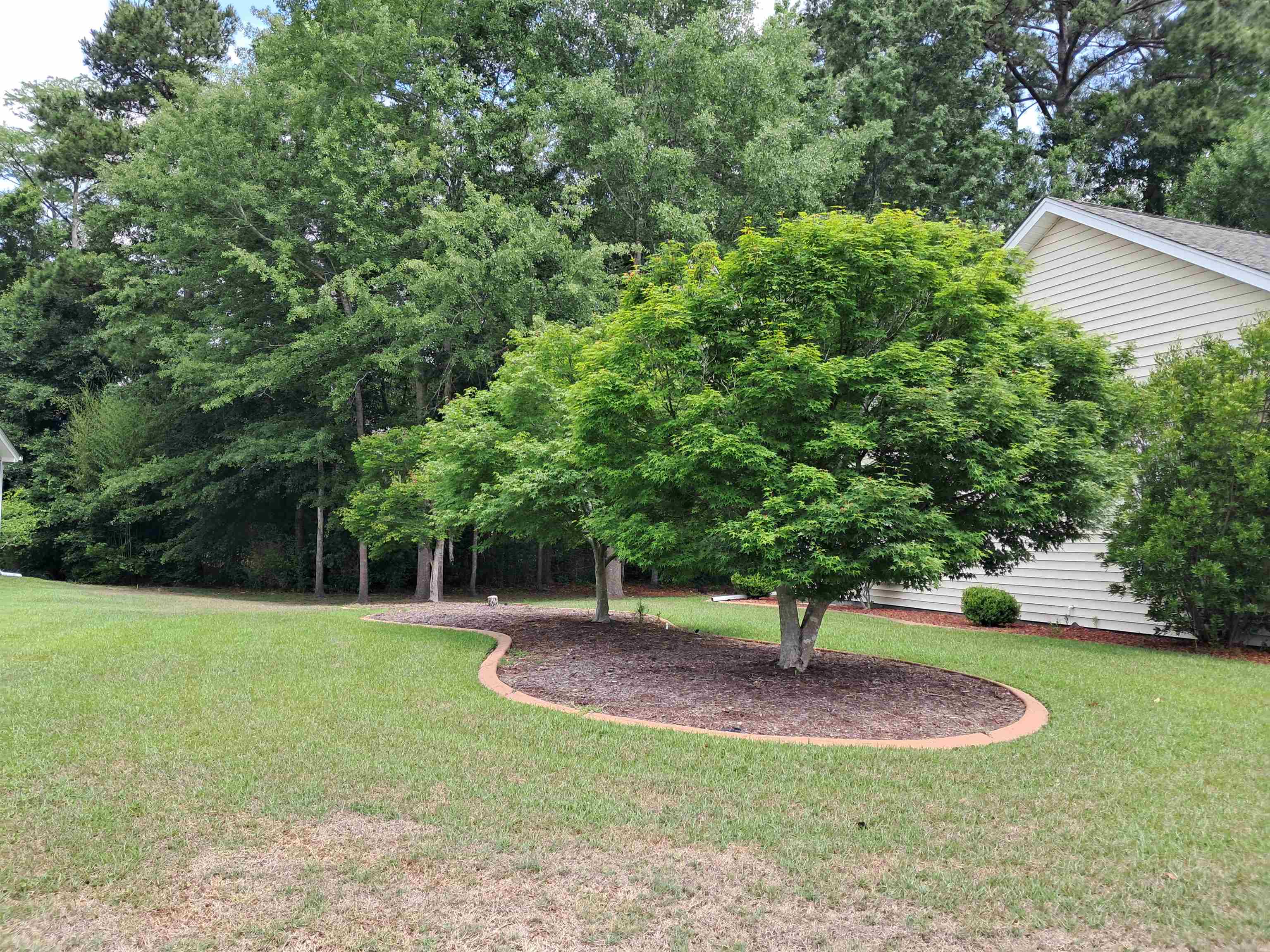 149 Myrtle Grande Drive Conway, SC 29526 - Photo 33 of 39