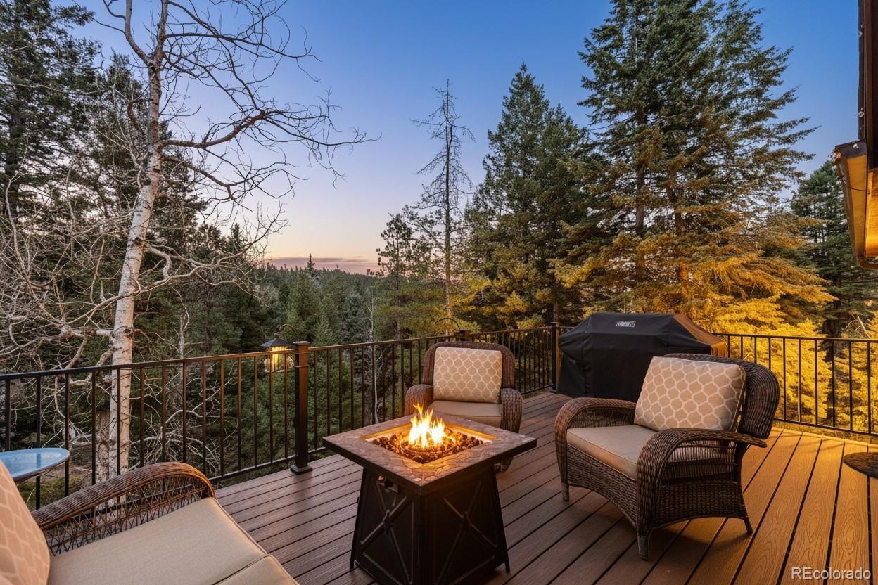 19184 Silver Ranch Road Conifer, CO 80433 - Photo 29 of 47