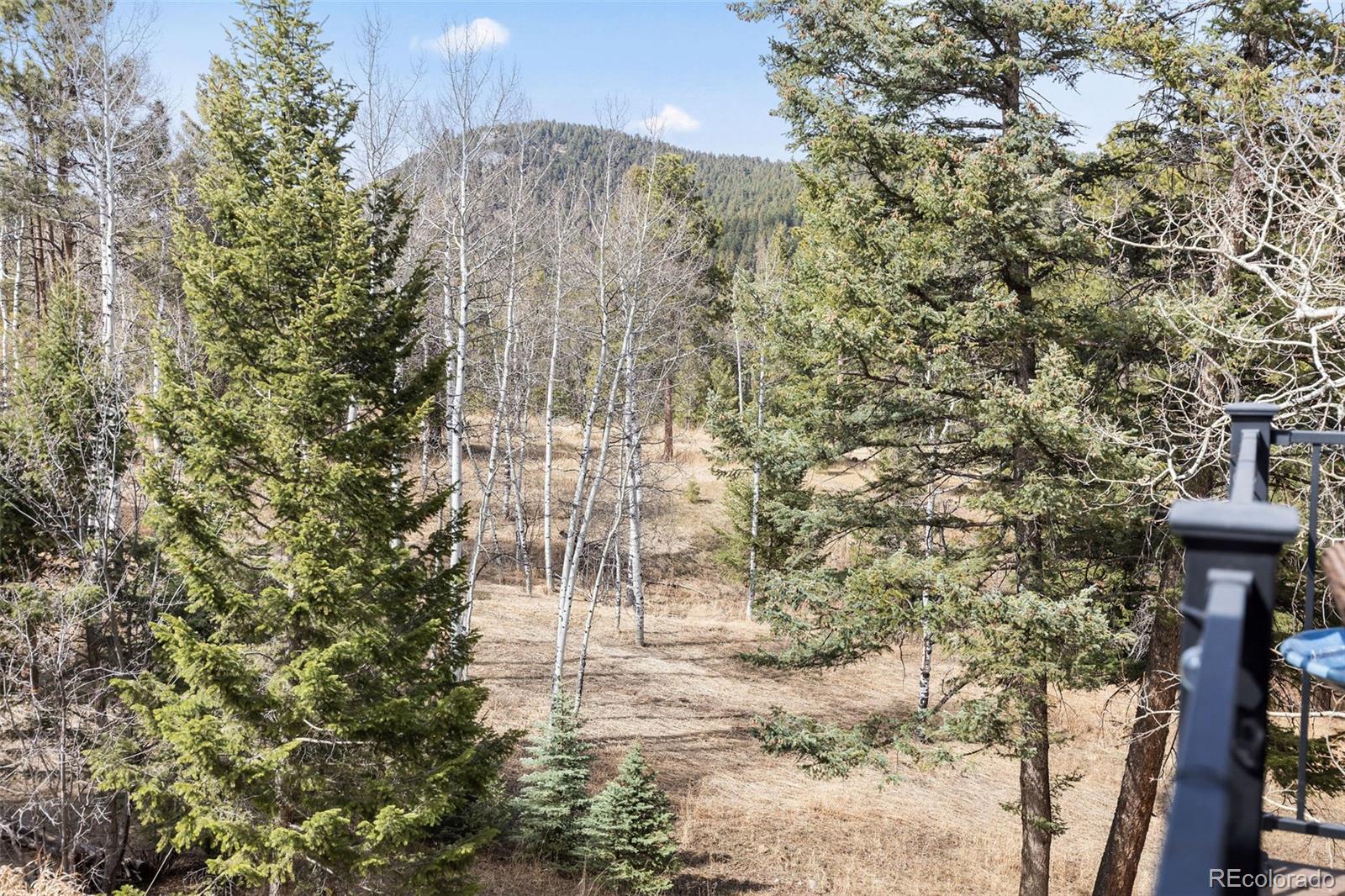 19184 Silver Ranch Road Conifer, CO 80433 - Photo 33 of 47