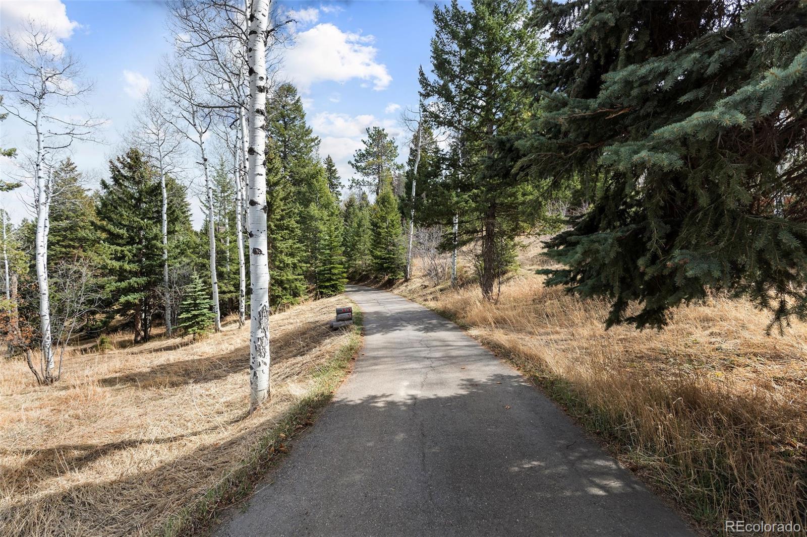 19184 Silver Ranch Road Conifer, CO 80433 - Photo 34 of 47