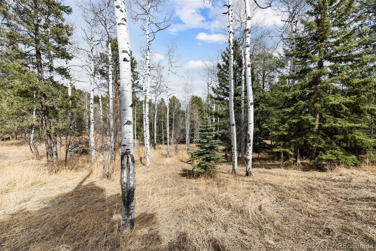19184 Silver Ranch Road Conifer, CO 80433 - Photo 35 of 47