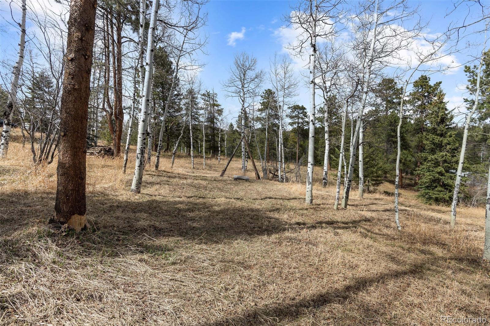 19184 Silver Ranch Road Conifer, CO 80433 - Photo 36 of 47