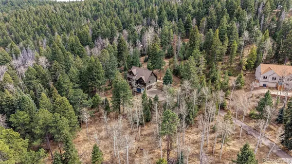 a view of a house with a lush green forest
