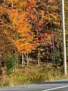 $14,500 | Lot 155 Tink Wig Drive, Hawley, PA 18428