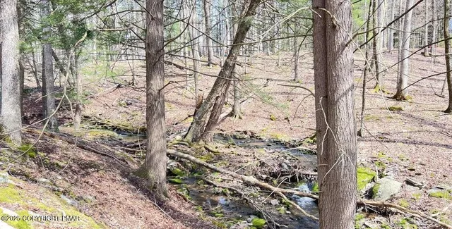 $14,500 | Lot 155 Tink Wig Drive, Hawley, PA 18428