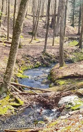 $14,500 | Lot 155 Tink Wig Drive, Hawley, PA 18428