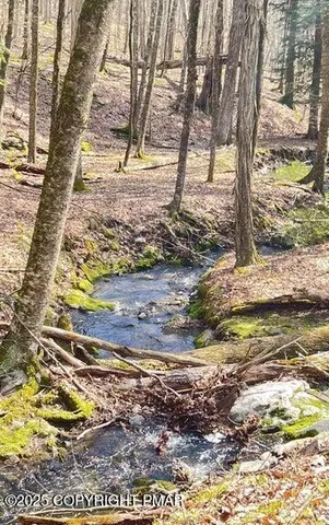 $14,500 | Lot 155 Tink Wig Drive, Hawley, PA 18428