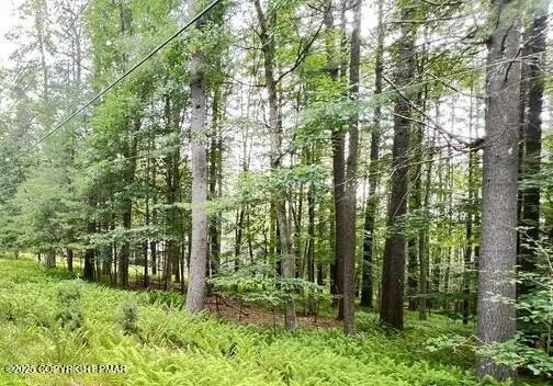 $14,500 | Lot 155 Tink Wig Drive, Hawley, PA 18428