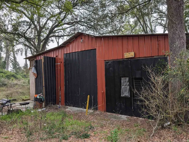 a view of a backyard with potted plants and large tree