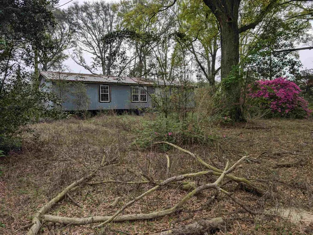 a backyard of a house with lots of green space