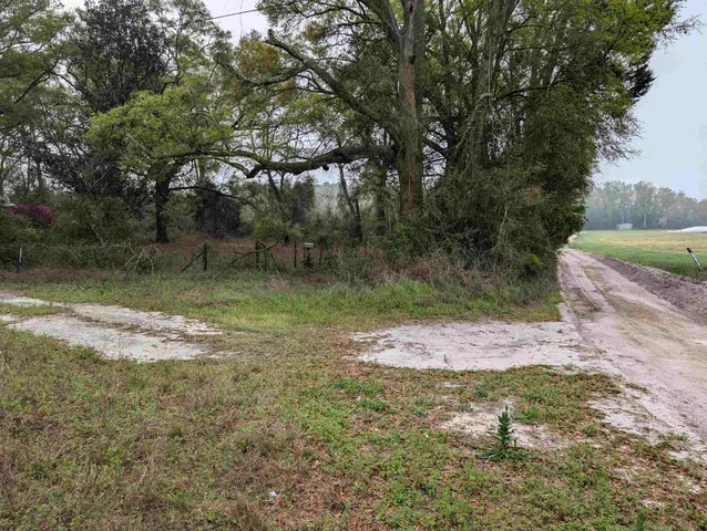 a view of a yard with trees
