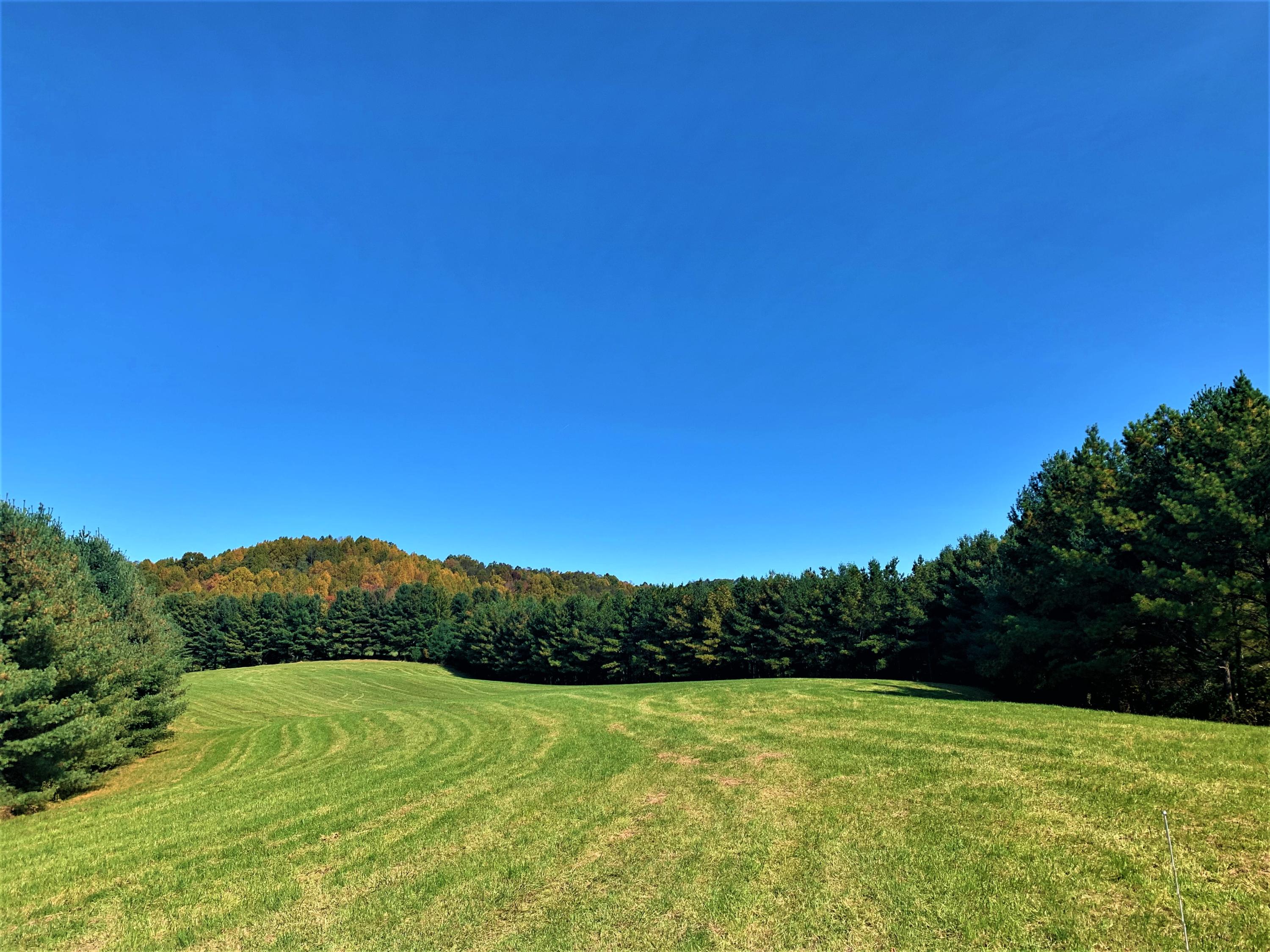 462 Thomas Loop Meadow Bridge, WV 25976 - Photo 9 of 53 Gallery Image 9